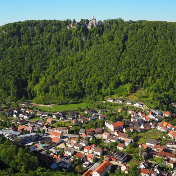 Profile - Picture 9 of 15